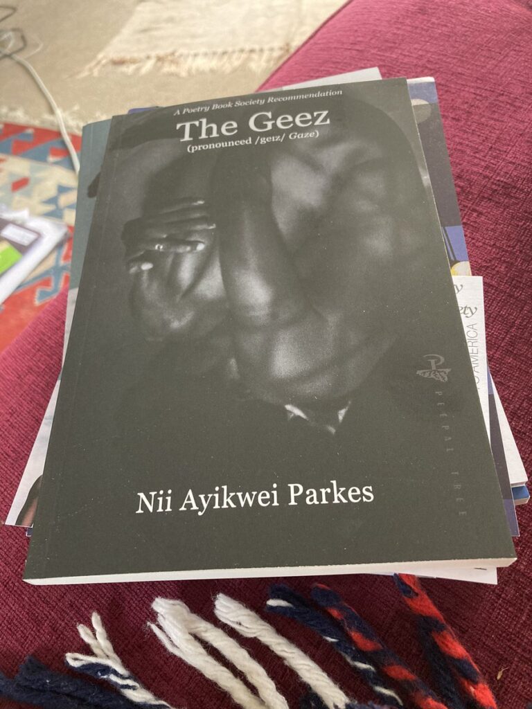 Nii Ayikwei Parkes, The Geez. Credit to @BlueBirdTail on Twitter