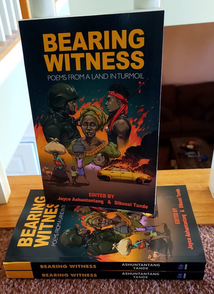 Bearing Witness: Poems from a Land in Turmoil.