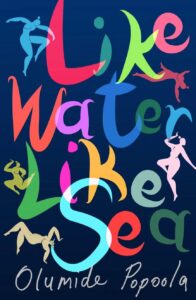 olumide popoola - like water like sea