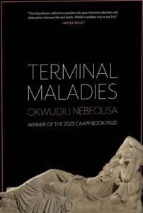 Okwudili Nebeolisa - Terminal Maladies