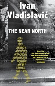 ivan vladislavic - the near north