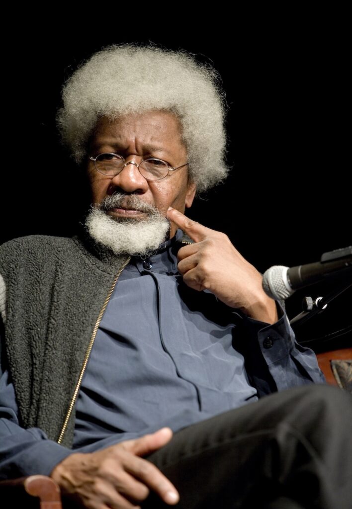 Wole Soyinka. Supplied by BookCraft Africa.