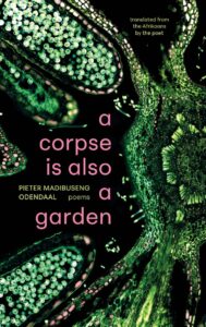 Notable African Books of 2025